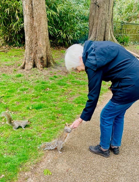 An older woman in a park bends down to feed a squirrel standing on its hind legs. - Home Instead