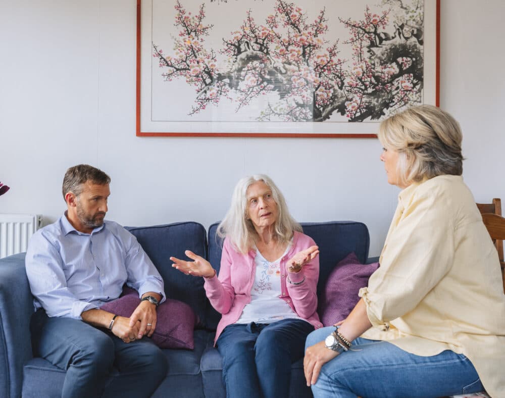 Three adults sit on a couch and talk in a living room with a painting and flowers in the background. - Home Instead
