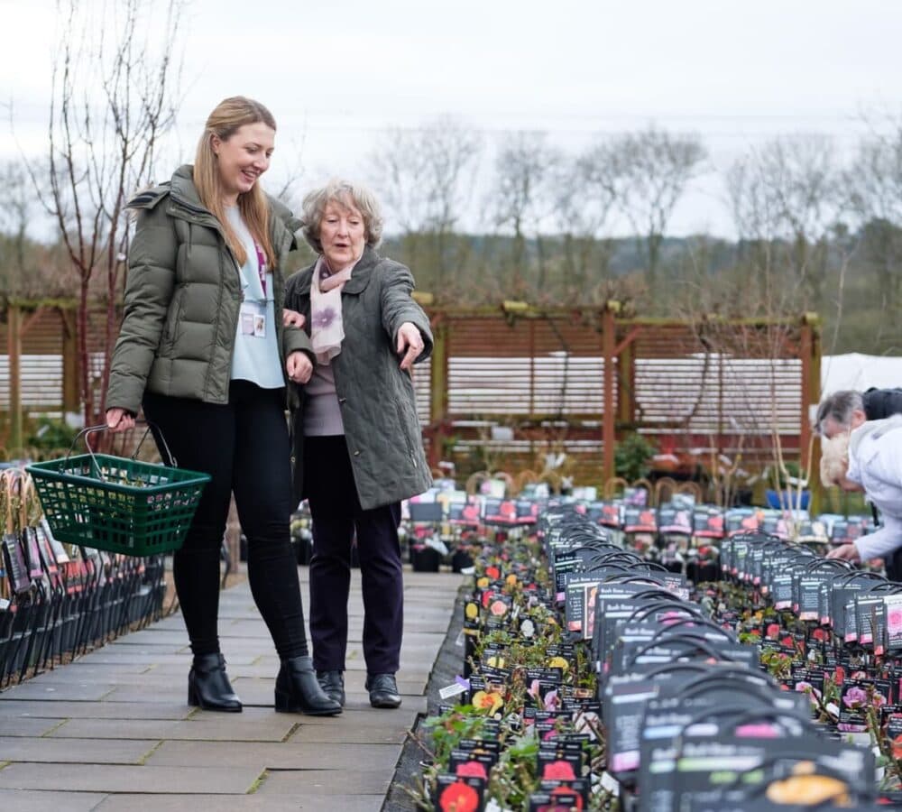 Two women holding a basket while looking at small flower plants inside a garden centre