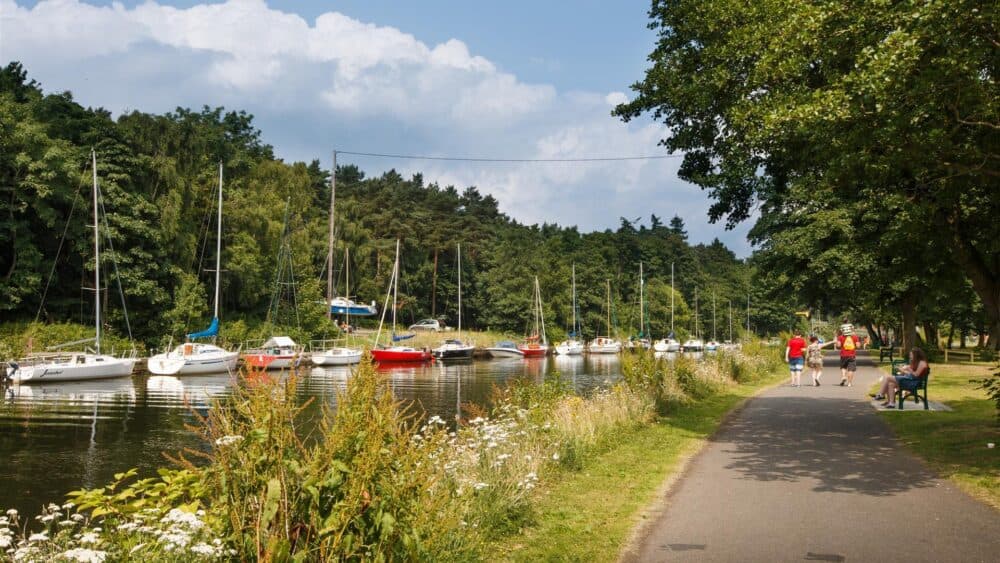 Boats docked along a calm canal with people walking and sitting on a tree-lined path. - Home Instead