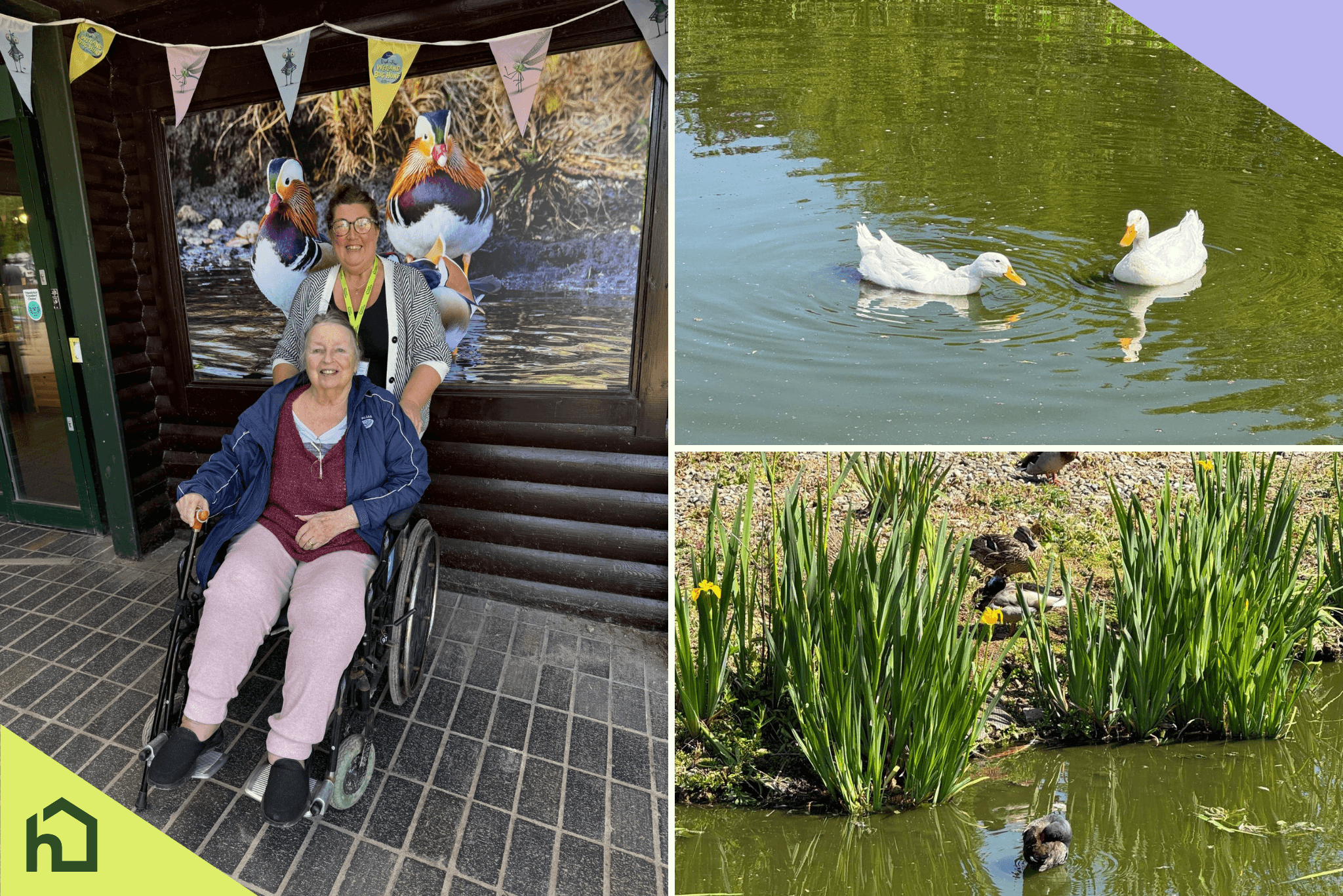 martin mere and home instead west lancashire and chorley