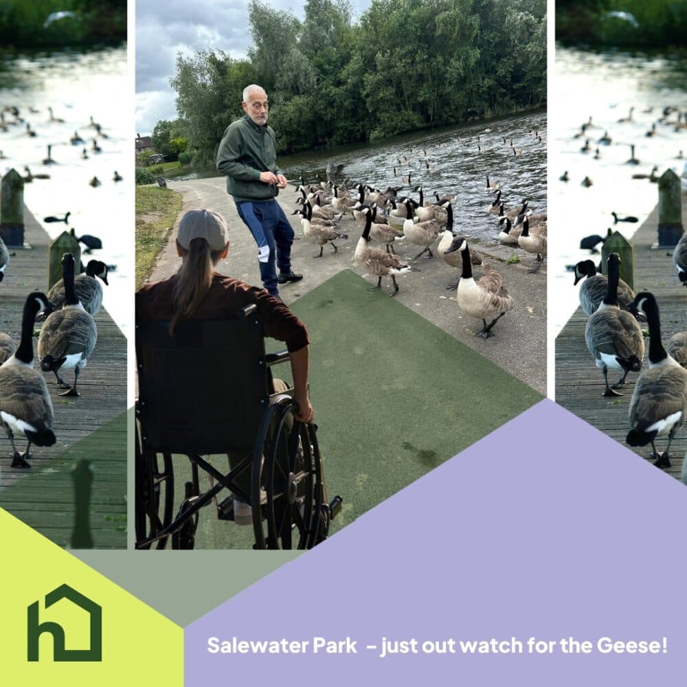 A man stands by a lake surrounded by geese, while a woman in a wheelchair approaches on the path. - Home Instead