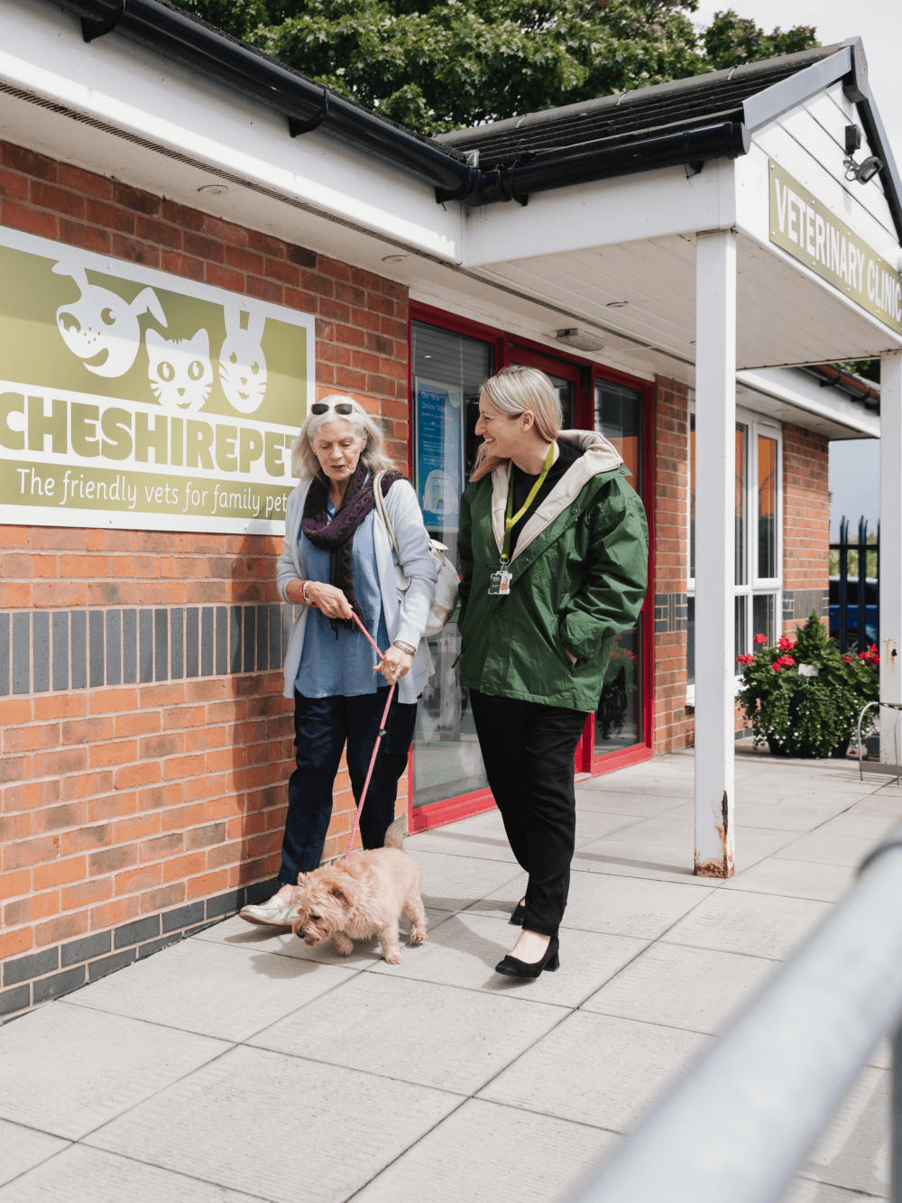 best dogs for seniors