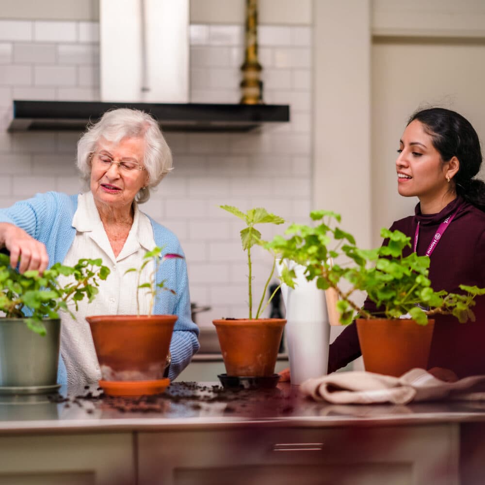 Elderly woman and her Home Instead carer tending to indoor plants on a kitchen worktop