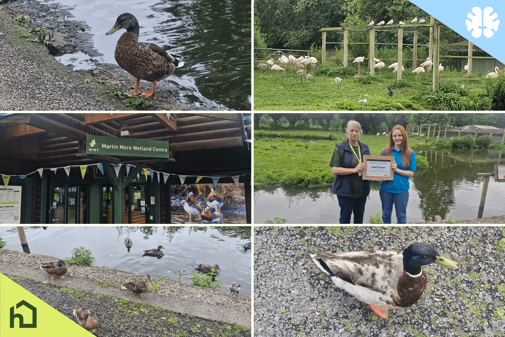 photos taken by home instead west lancashire and chorley at martin mere wetland centre