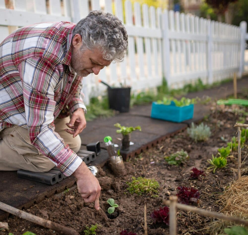 A guide to low maintenance gardens for the elderly
