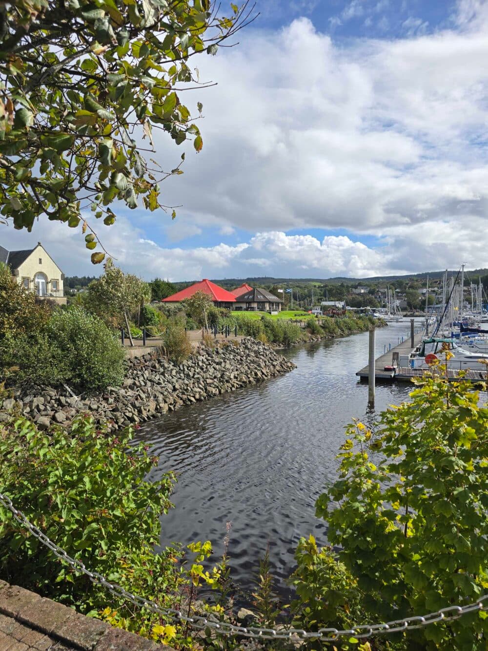 A river with boats at a marina, green foliage, and buildings under a partly cloudy sky. - Home Instead