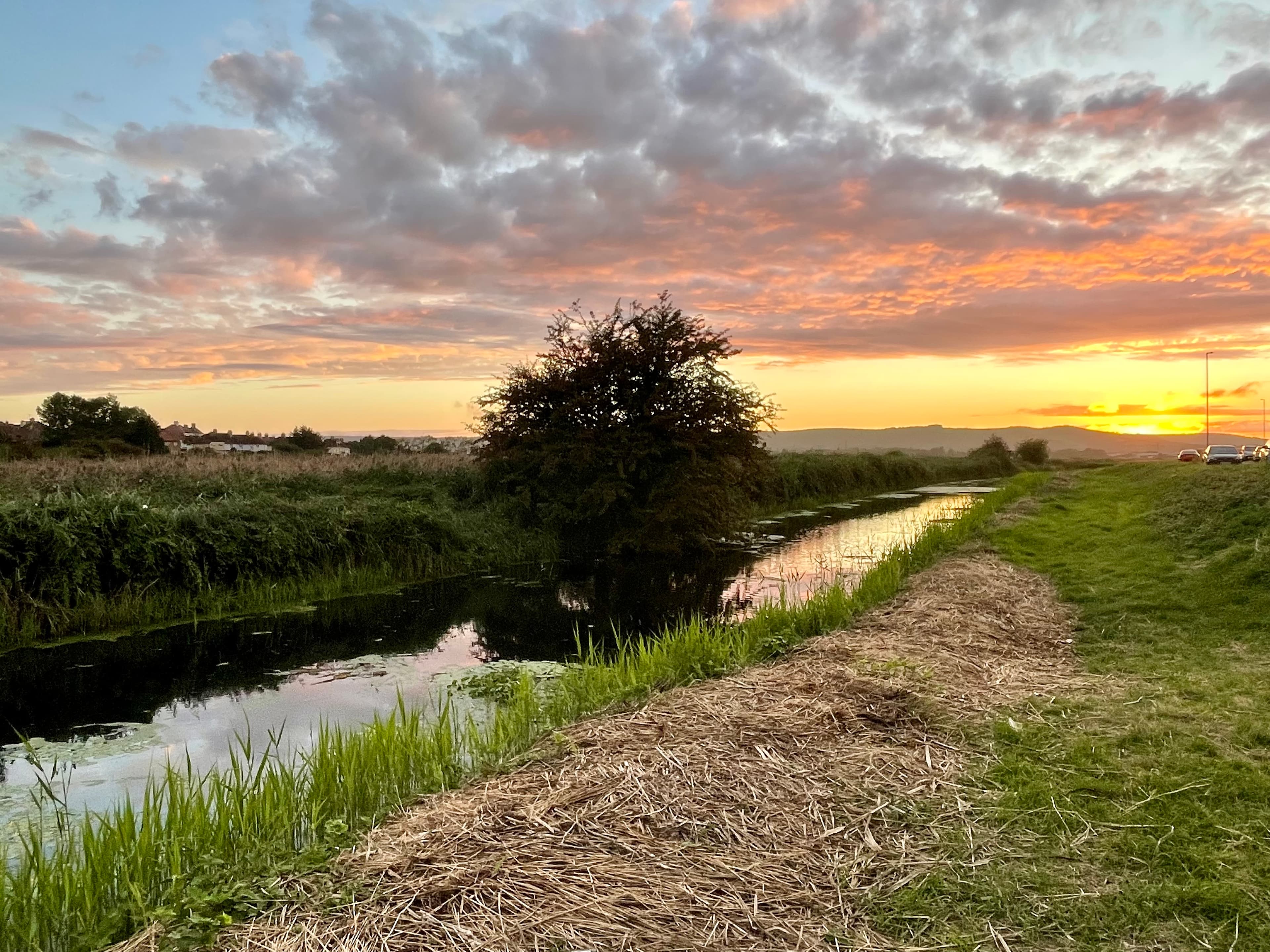 Our team are walking a Mile a Day for Parkinson’s UK throughout September