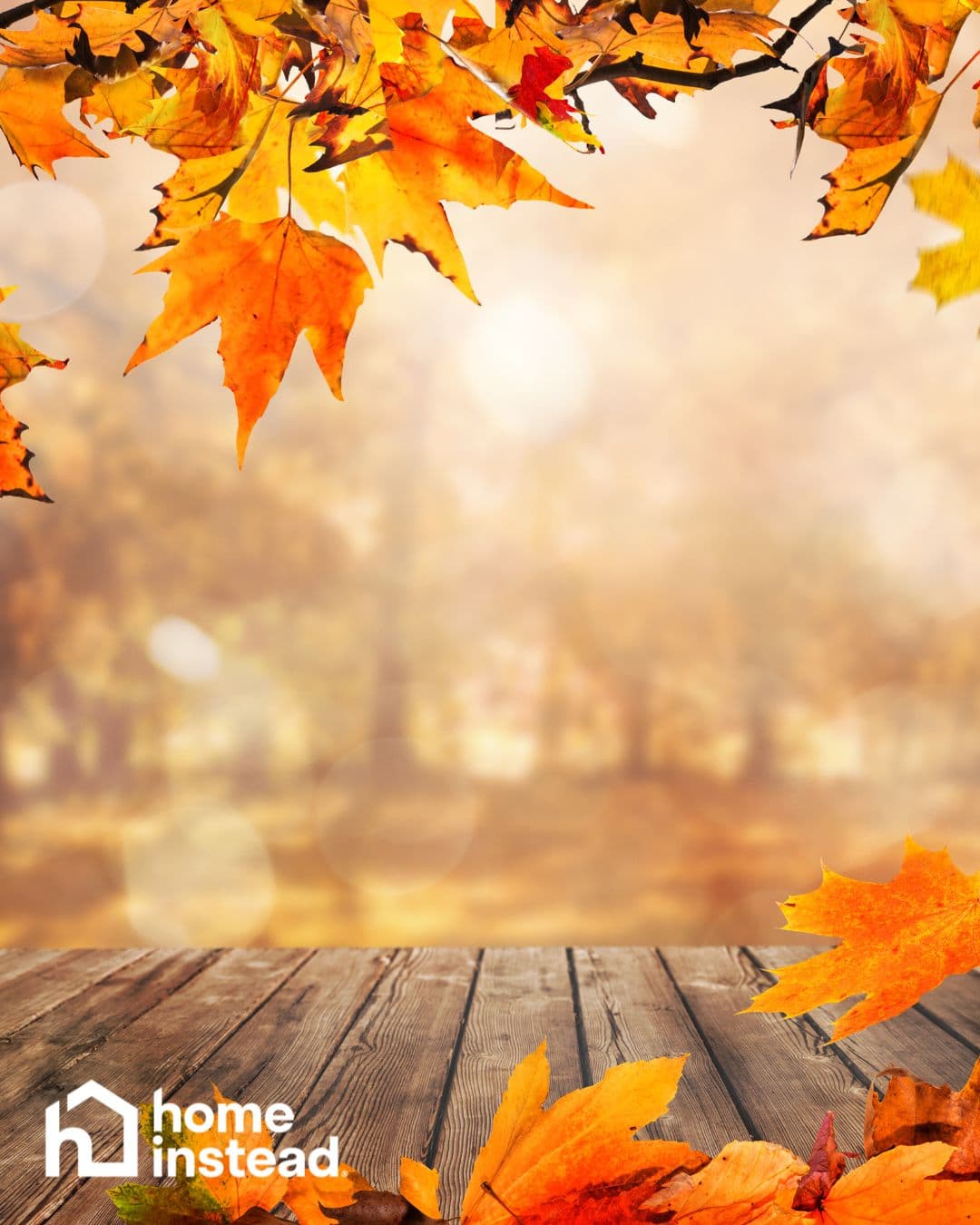 Autumn Activities for Seniors: Embracing the Season Together