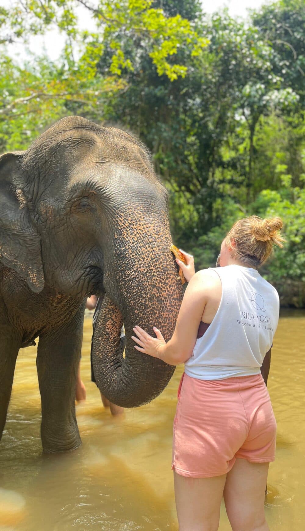 A woman feeds an elephant in a shallow river surrounded by lush greenery. - Home Instead