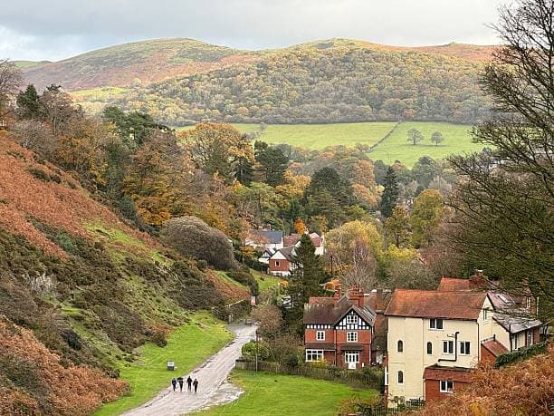 Four people walk on a path among autumn trees and houses, with rolling green hills in the background. - Home Instead