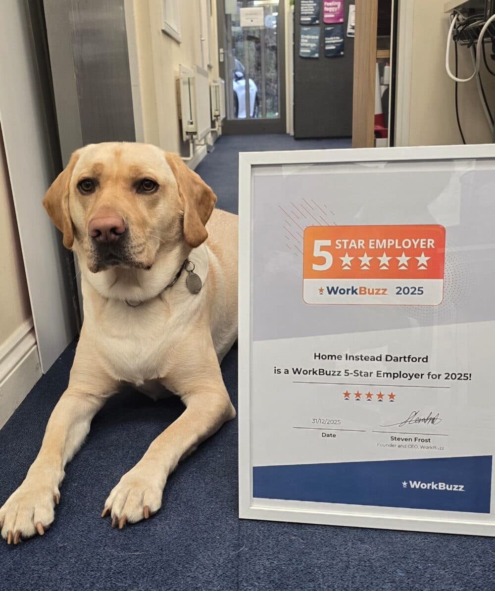 Spark, the Home Instead Dartford office dog, lying next to the WorkBuzz 5-Star Employer 2025 certificate.