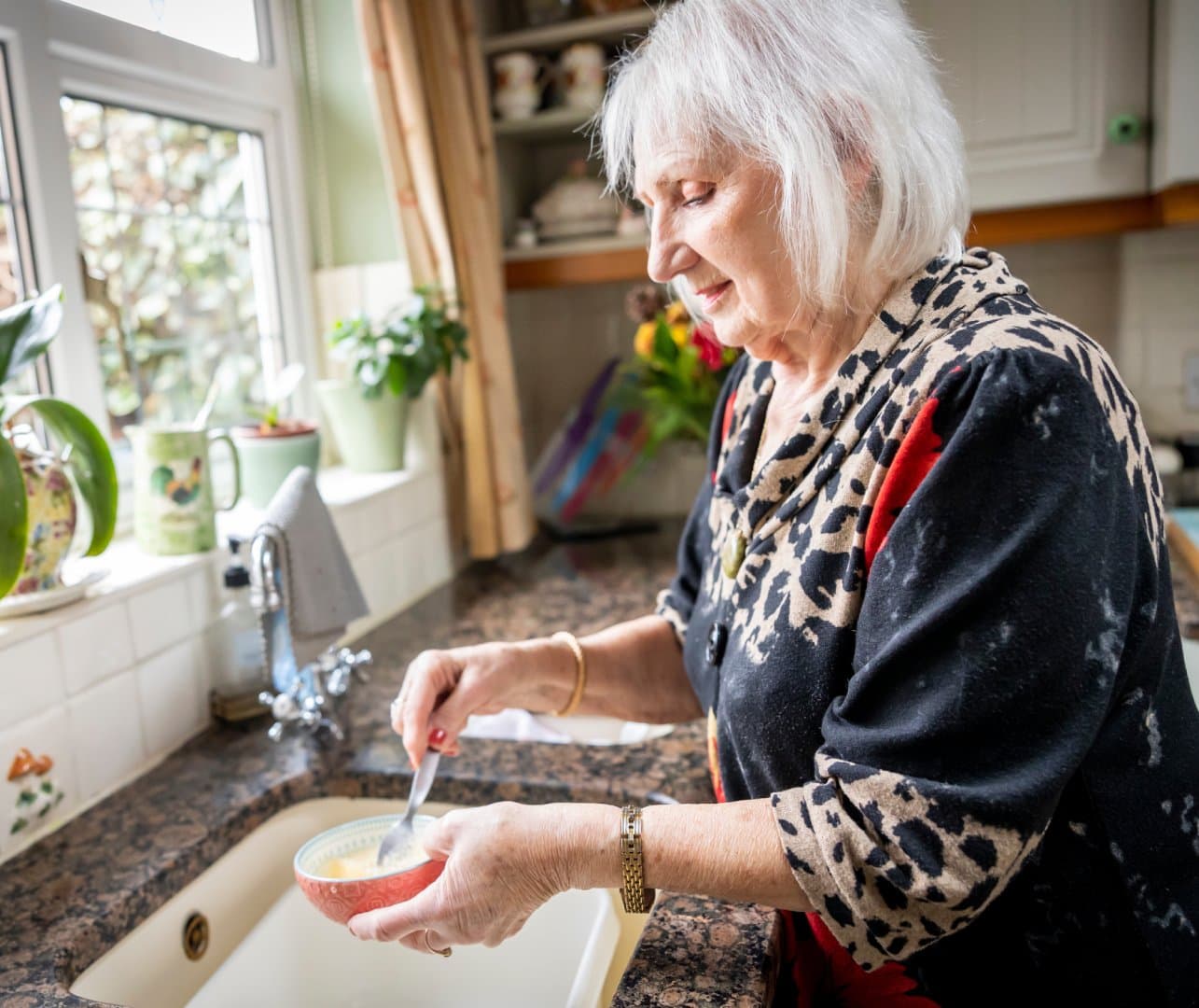 Safety and Wellbeing at Home for Older Adults