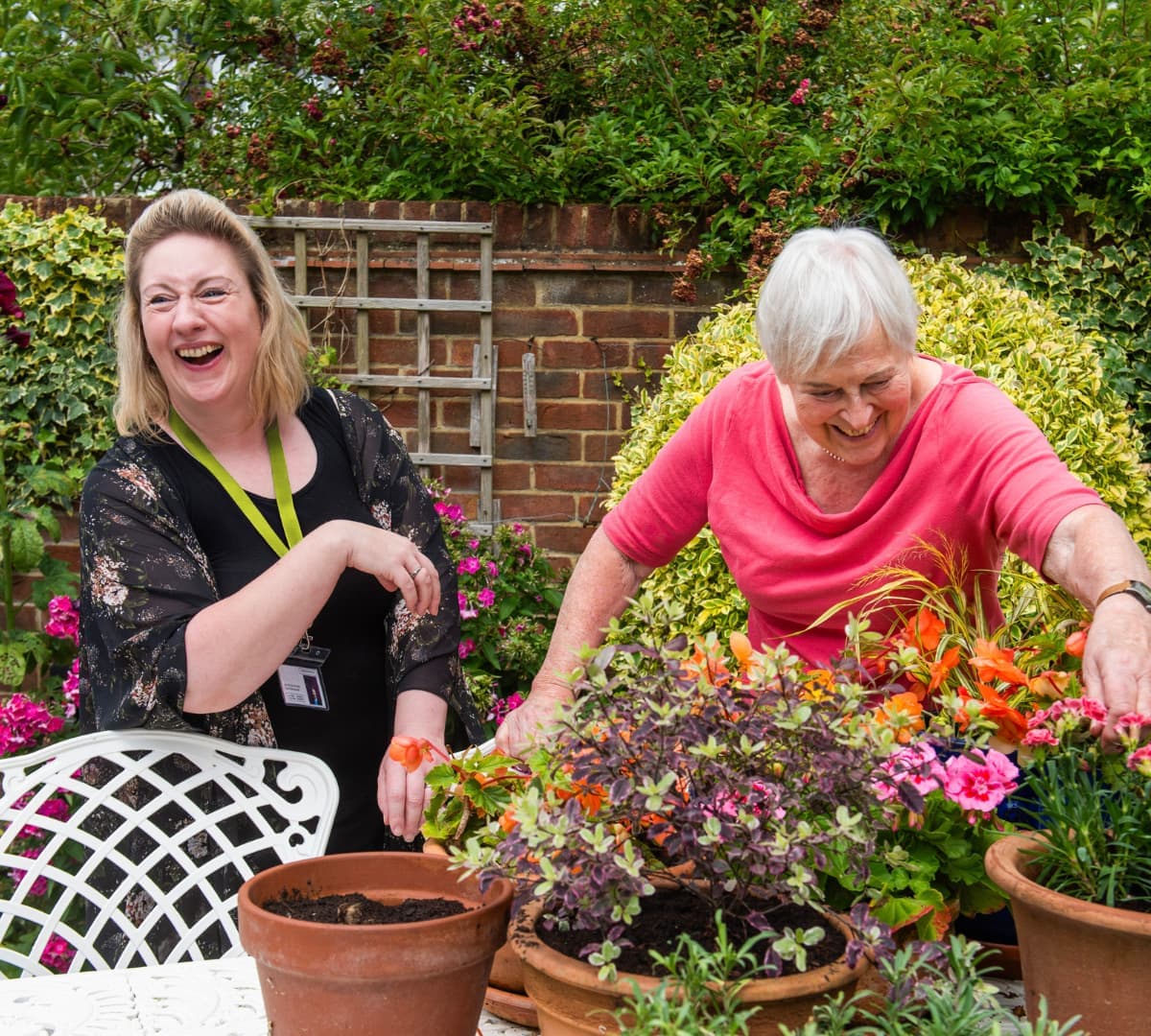 Local Summer Events and Days Out for Older Adults in Croydon and Dulwich