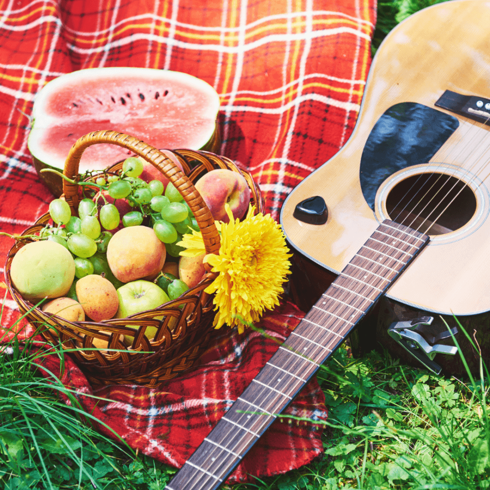 A picnic scene with a guitar, basket of apples and grapes, a watermelon slice, and a yellow flower on a red plaid blanket. - Home Instead