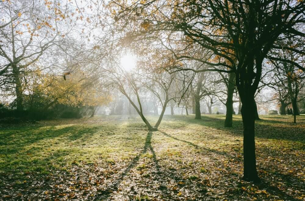 5 Places For Outdoor Walks In Wigan