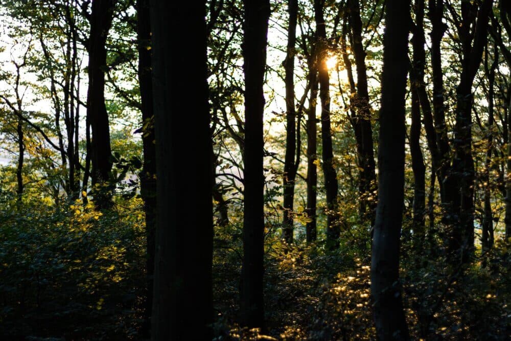 5 Places For Outdoor Walks In Wigan