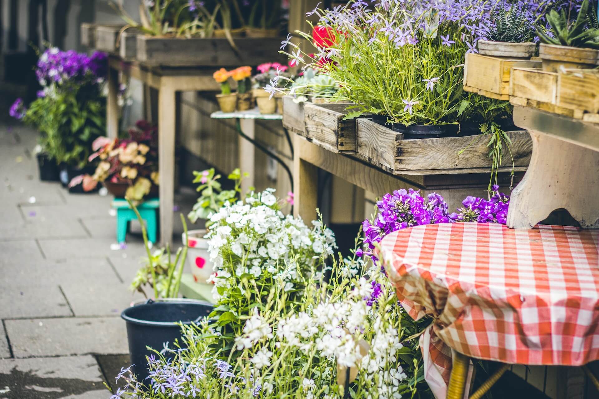 Garden Centres To Visit In and Near Northwich