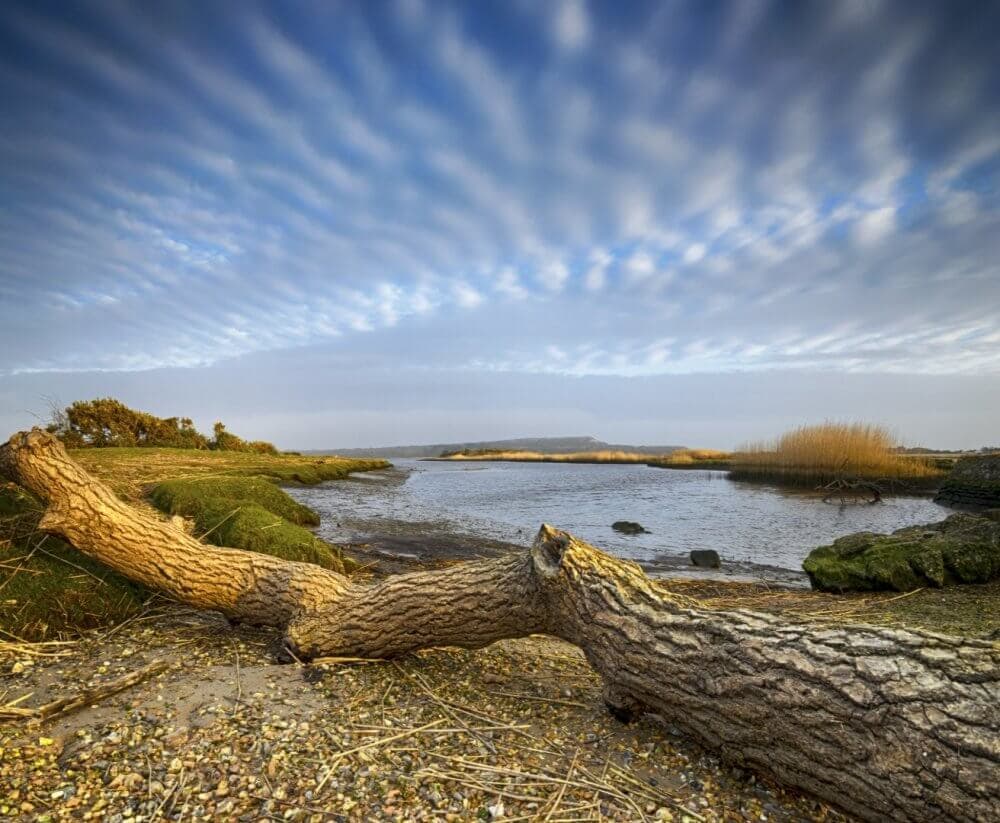 Fallen tree by a serene river with a vast blue sky streaked with clouds in the background. - Home Instead Bournemouth & Christchurch
