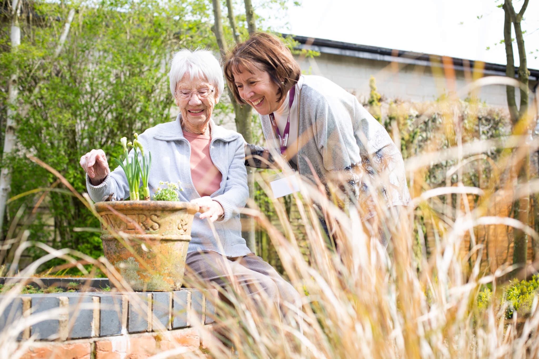 Popular Garden Centres to visit around Hagley