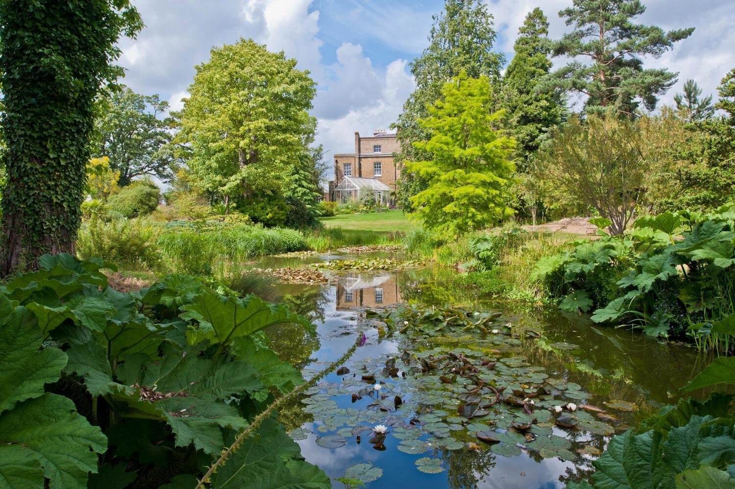 Brick house with large windows, surrounded by lush trees and a pond with lily pads and reflections of the house and sky. - Home Instead