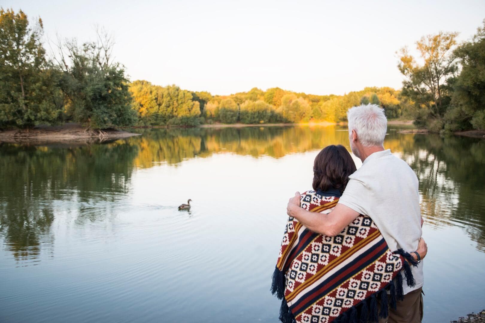 Fun Places To Feed The Ducks Around Poole