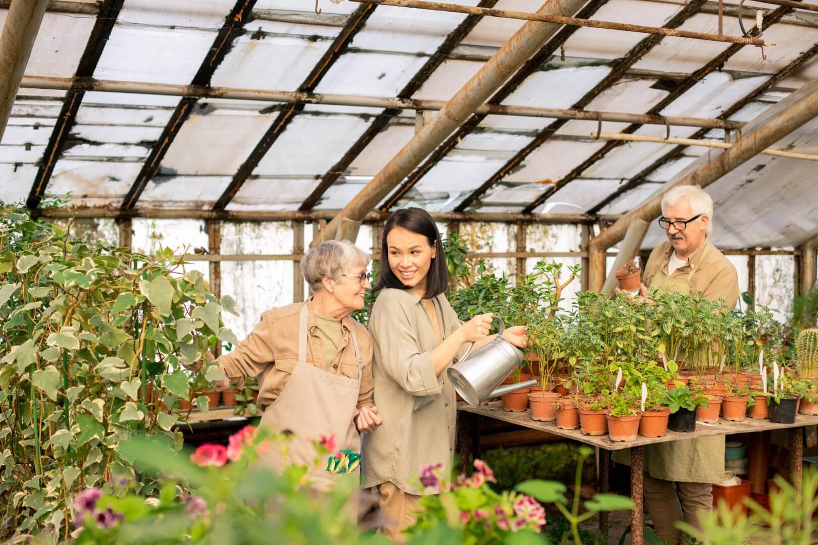 Garden Centres to Visit in and near Poole