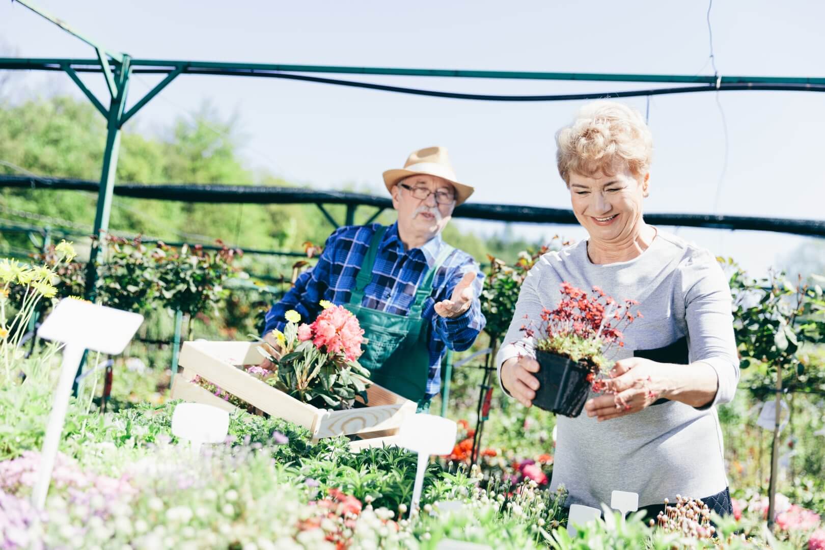 Two people tending to plants in a garden, one holding a crate of flowers and the other examining a potted plant. - Home Instead Southampton