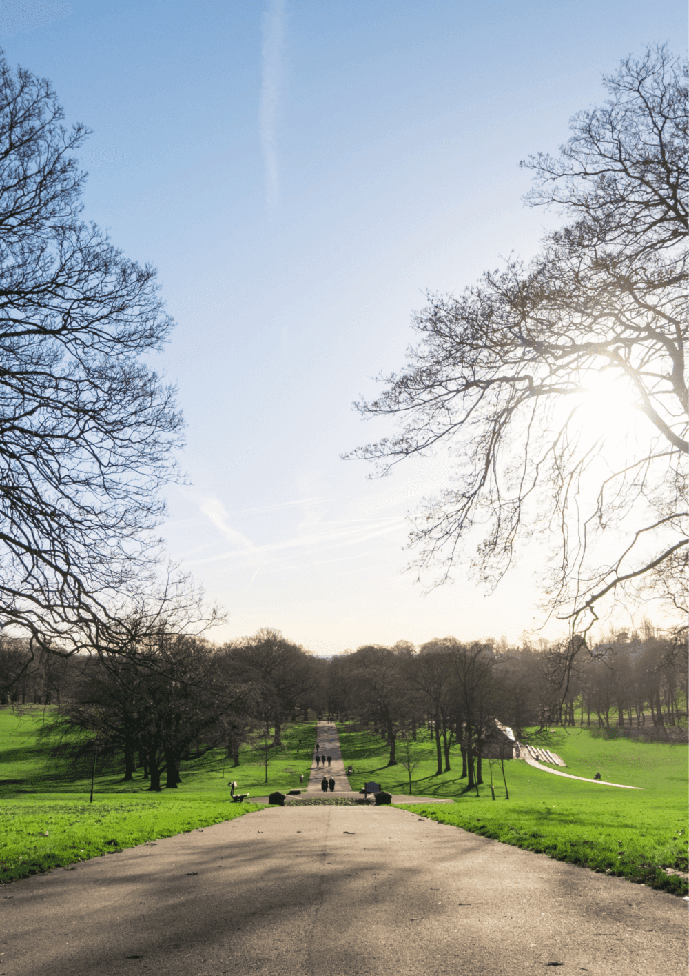 A long, tree-lined pathway in a park on a clear day, with two people walking in the distance and sunlight filtering through. - Home Instead