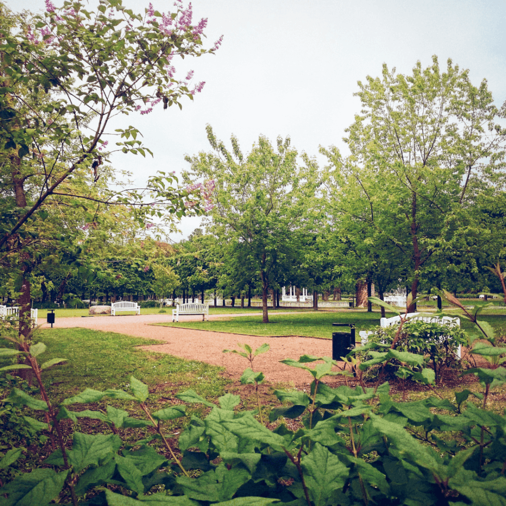 A peaceful park scene with green trees, flowering bushes, and white benches along a dirt path under a light blue sky. - Home Instead