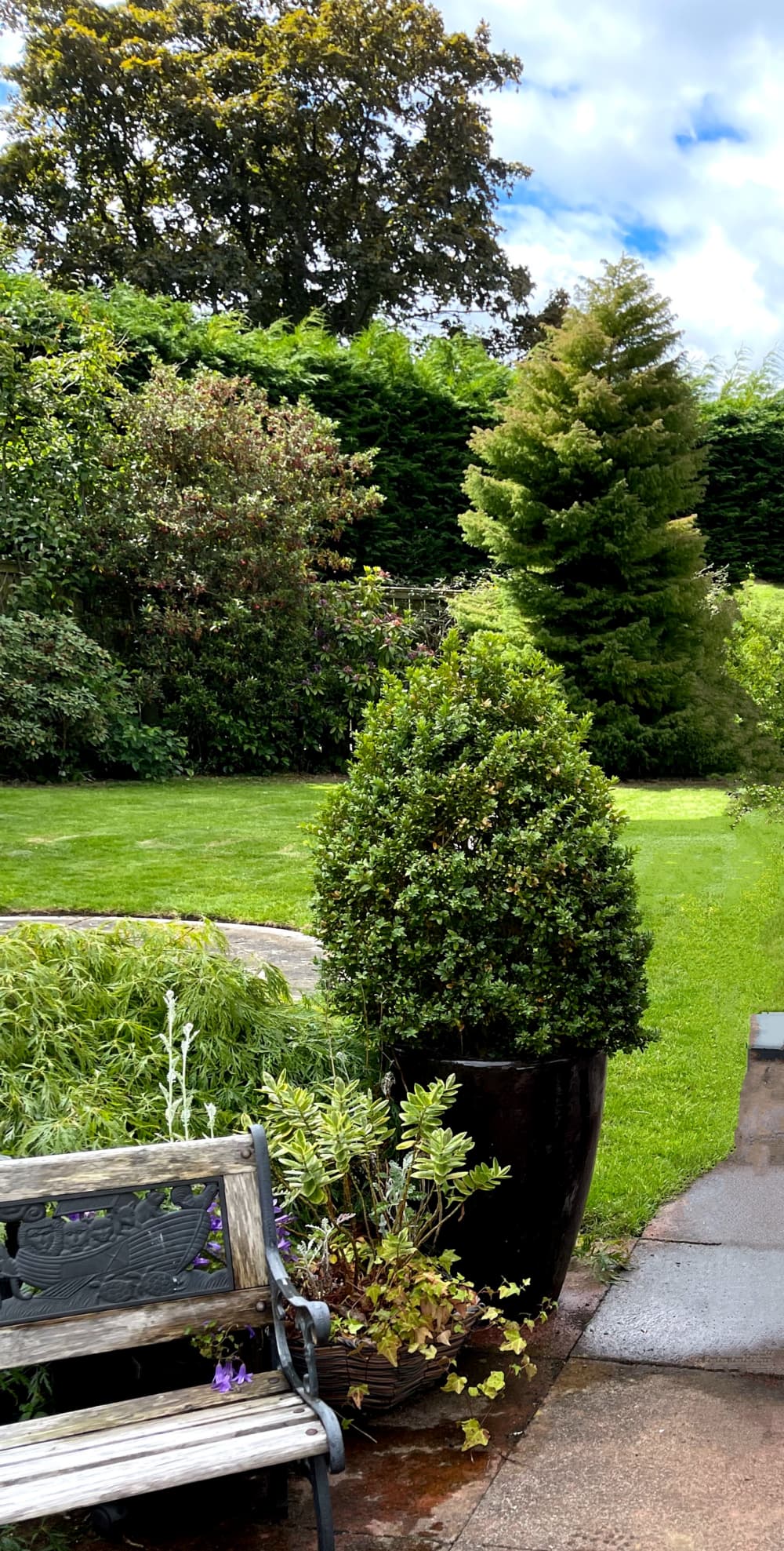 A lush green garden with trees, shrubs, a lawn, a potted plant, and a wooden bench on a stone patio. - Home Instead
