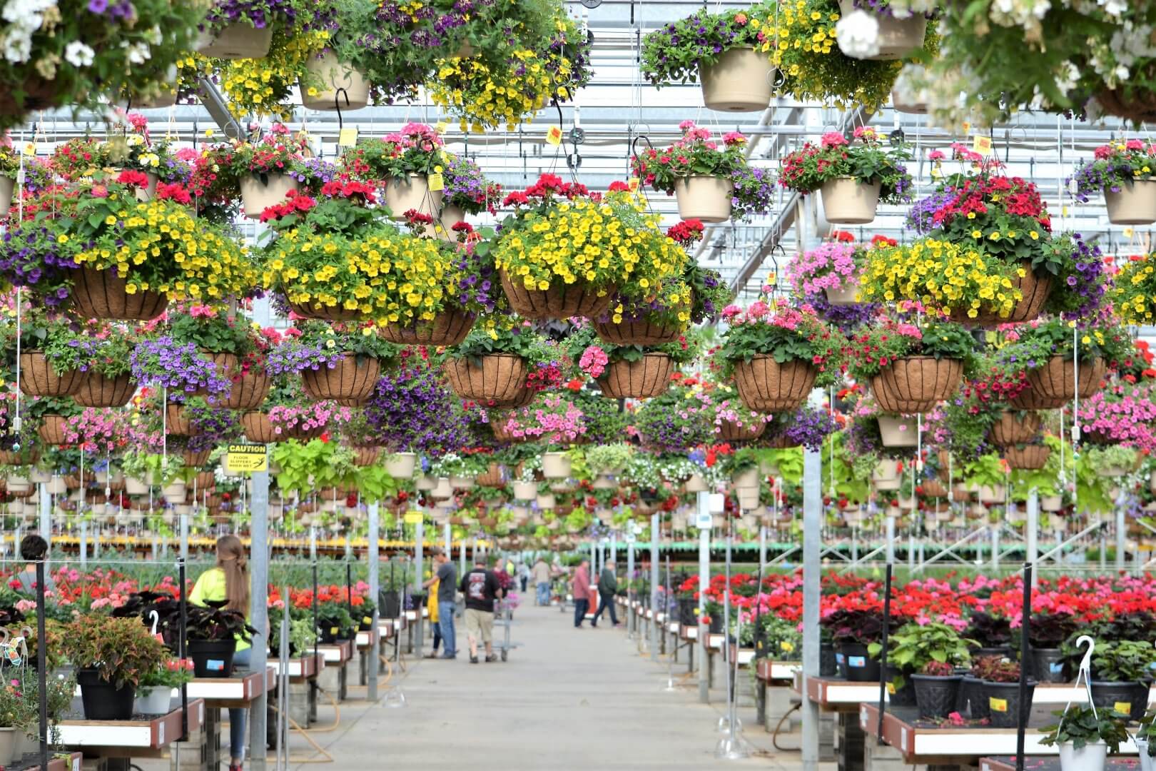Garden Centres to visit in and near Romford