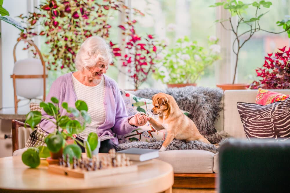 Client and pet - Home Instead