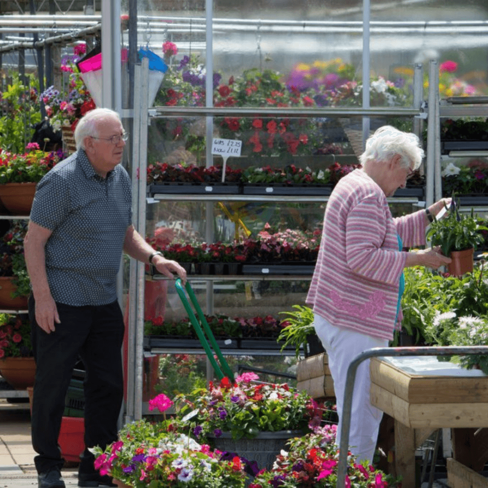 An elderly couple shops for plants at a garden center. The man pushes a cart while the woman inspects a potted plant. - Home Instead