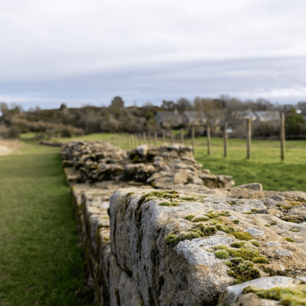 A stone wall covered in patches of moss stretches across a grassy field with trees and buildings in the background. - Home Instead