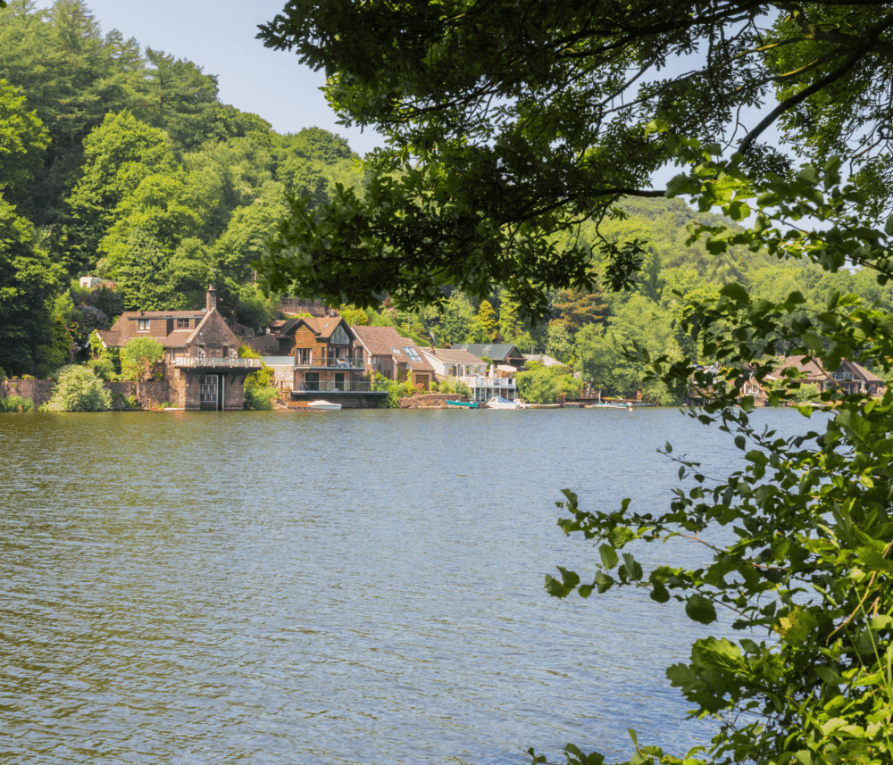 Riverside homes nestled among lush greenery, with trees framing the view of the water and buildings in the distance. - Home Instead