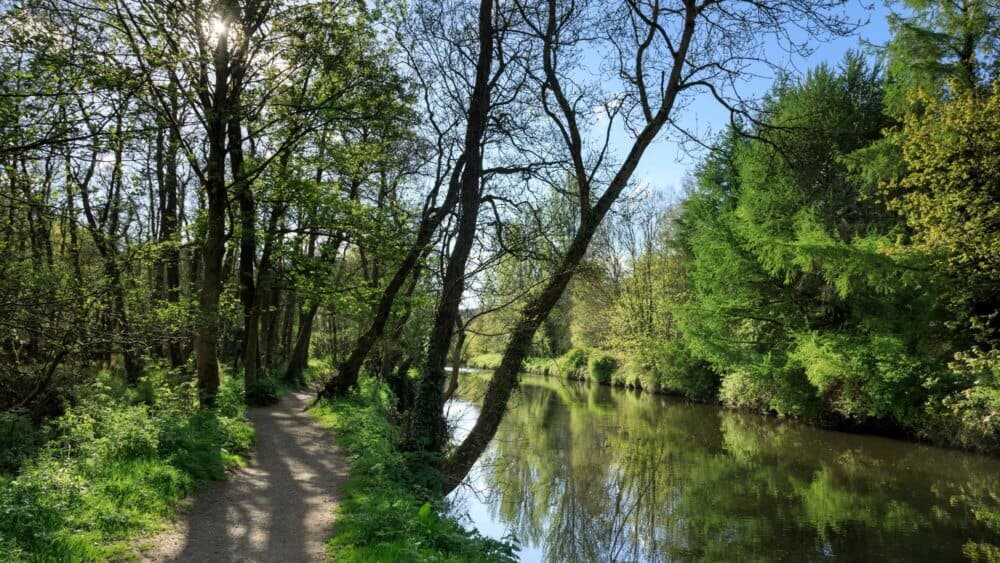 A serene riverside path lined with trees, reflecting in calm water under a clear blue sky. - Home Instead
