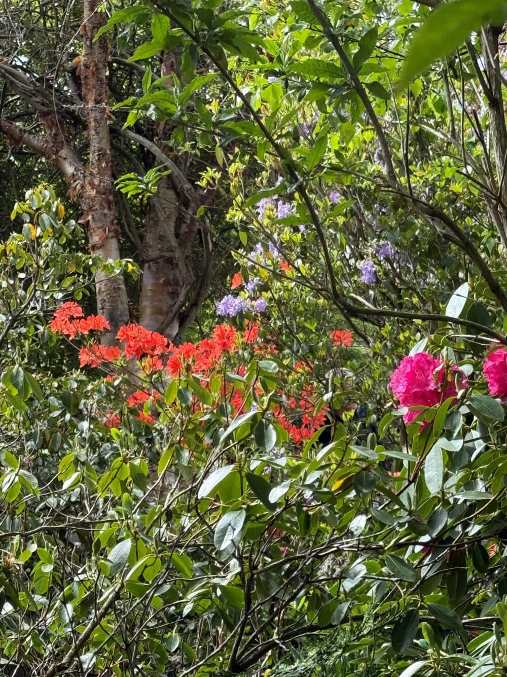 Beautiful gardens