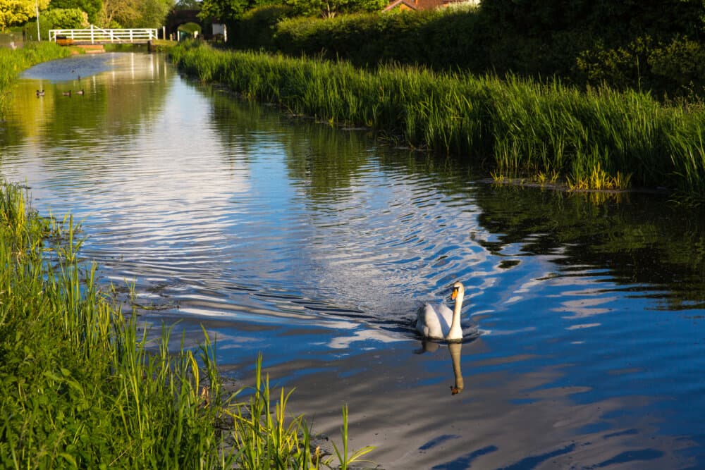 What’s on Where Guide for Taunton, Wellington and surrounding areas.