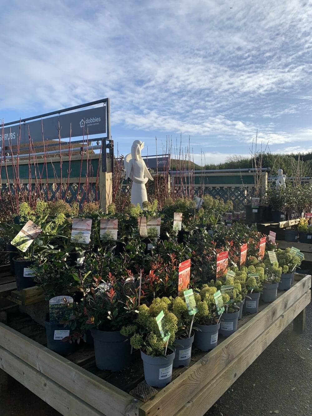 Garden Centres to visit in Aylesbury | Home Instead Aylesbury Vale and North East Oxfordshire