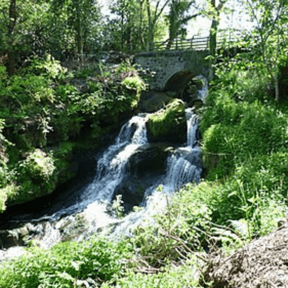 Rouken Glen Park, Thornliebank - Waterfall cascading down rocks with a lush, green forest background and an arched stone bridge above. - Home Instead Renfrewshire and Barrhead home care services
