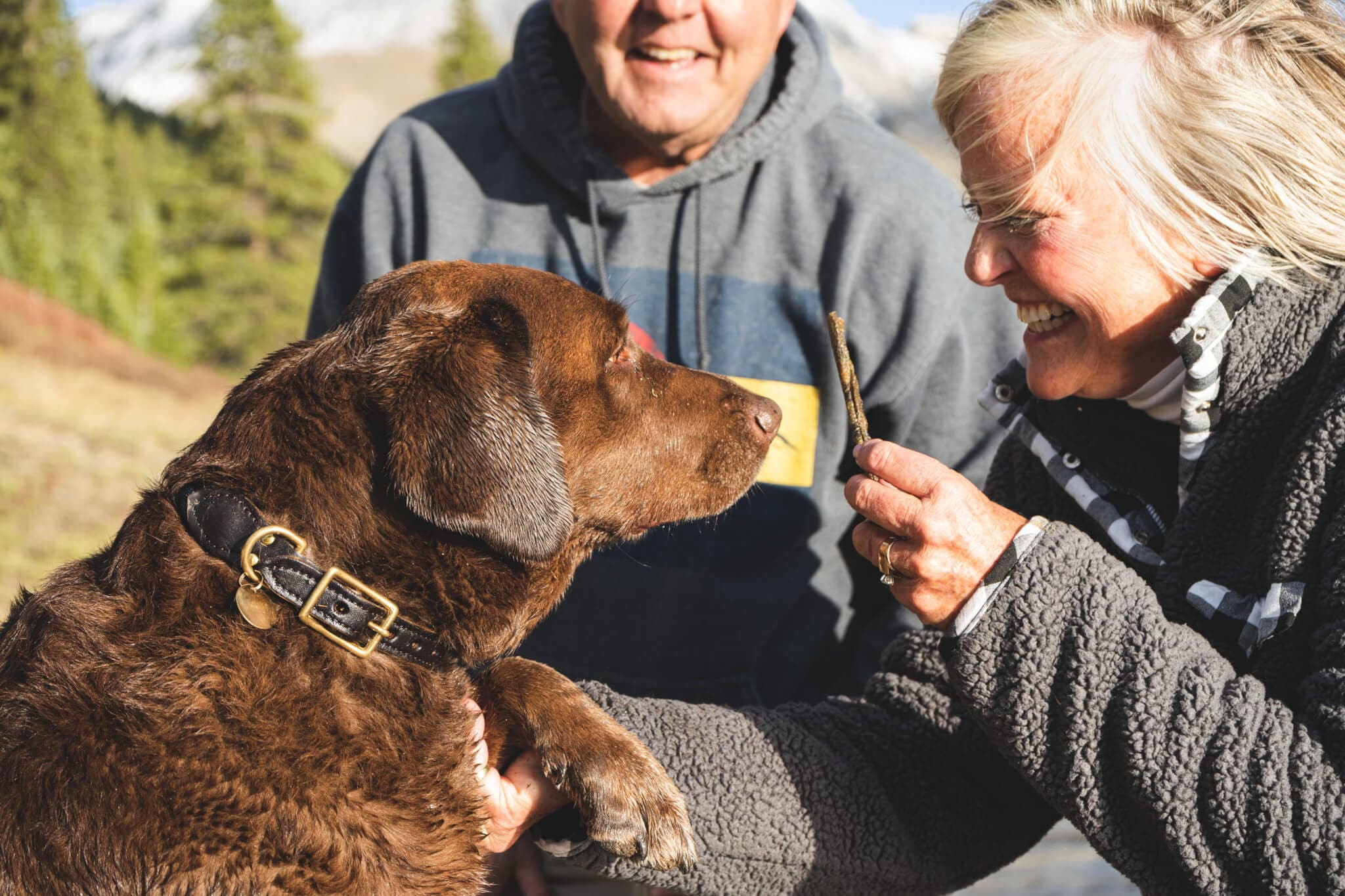 Senior couple enjoys the outdoors with their brown dog, the woman smiling while holding a stick near the dog's face. - Home Instead
