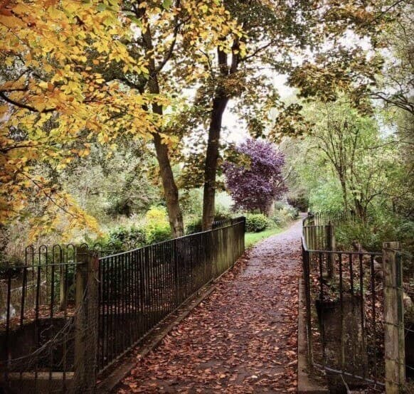 Local Parks, Landmarks, Places to walk & Visit.