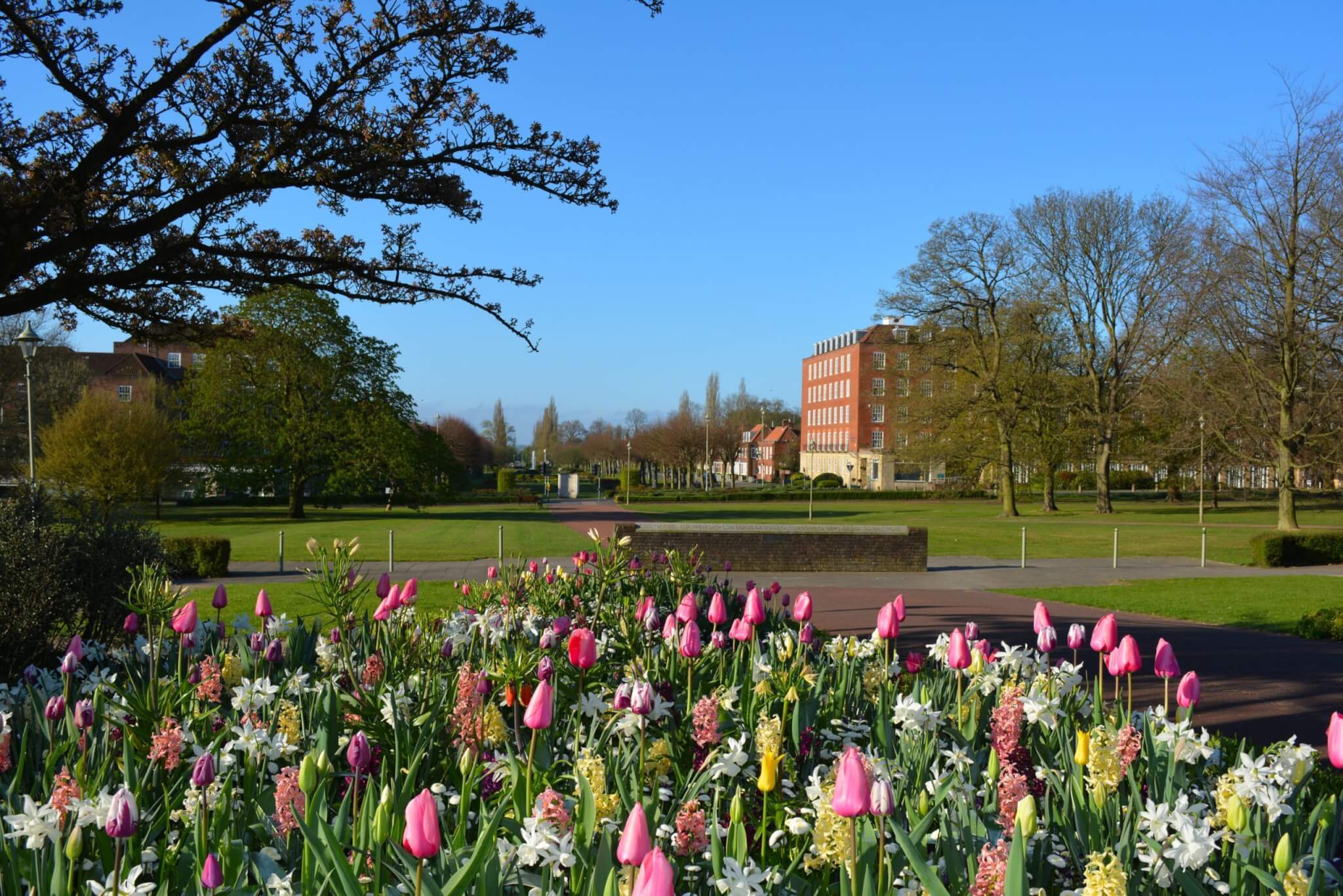 5 Places For Outdoor Walks In Welwyn Garden City 