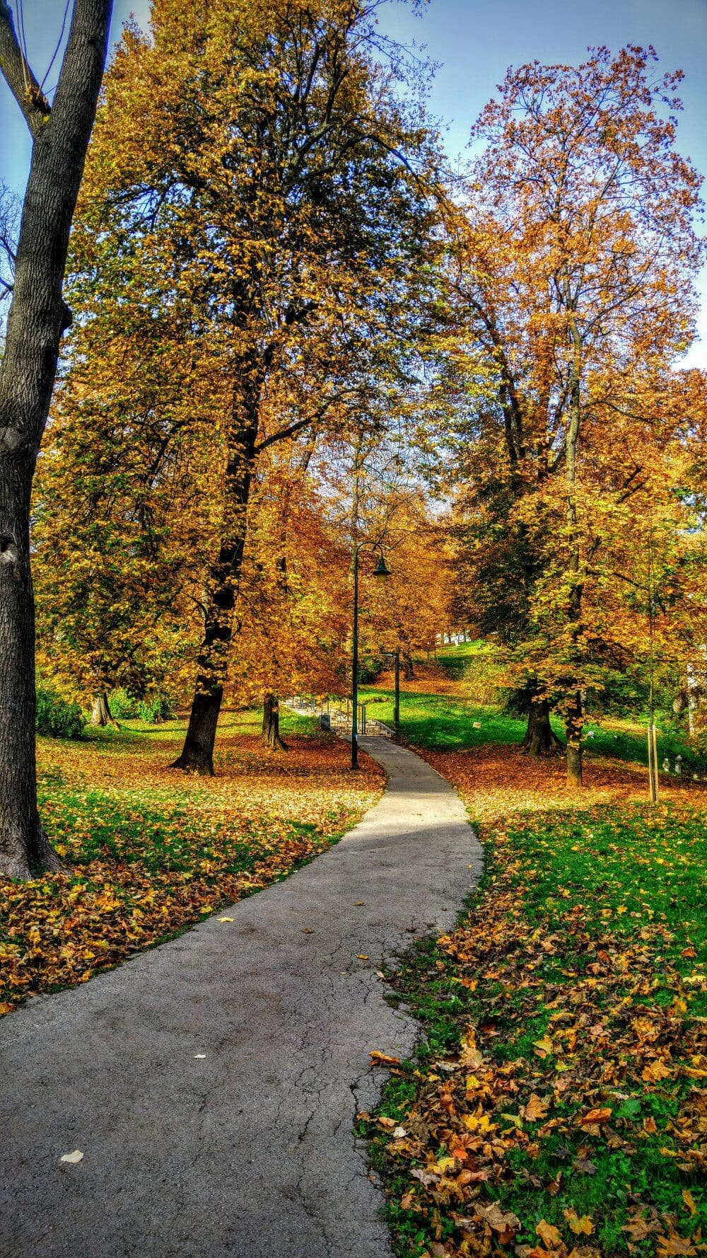 The best local parks in Taunton and Wellington