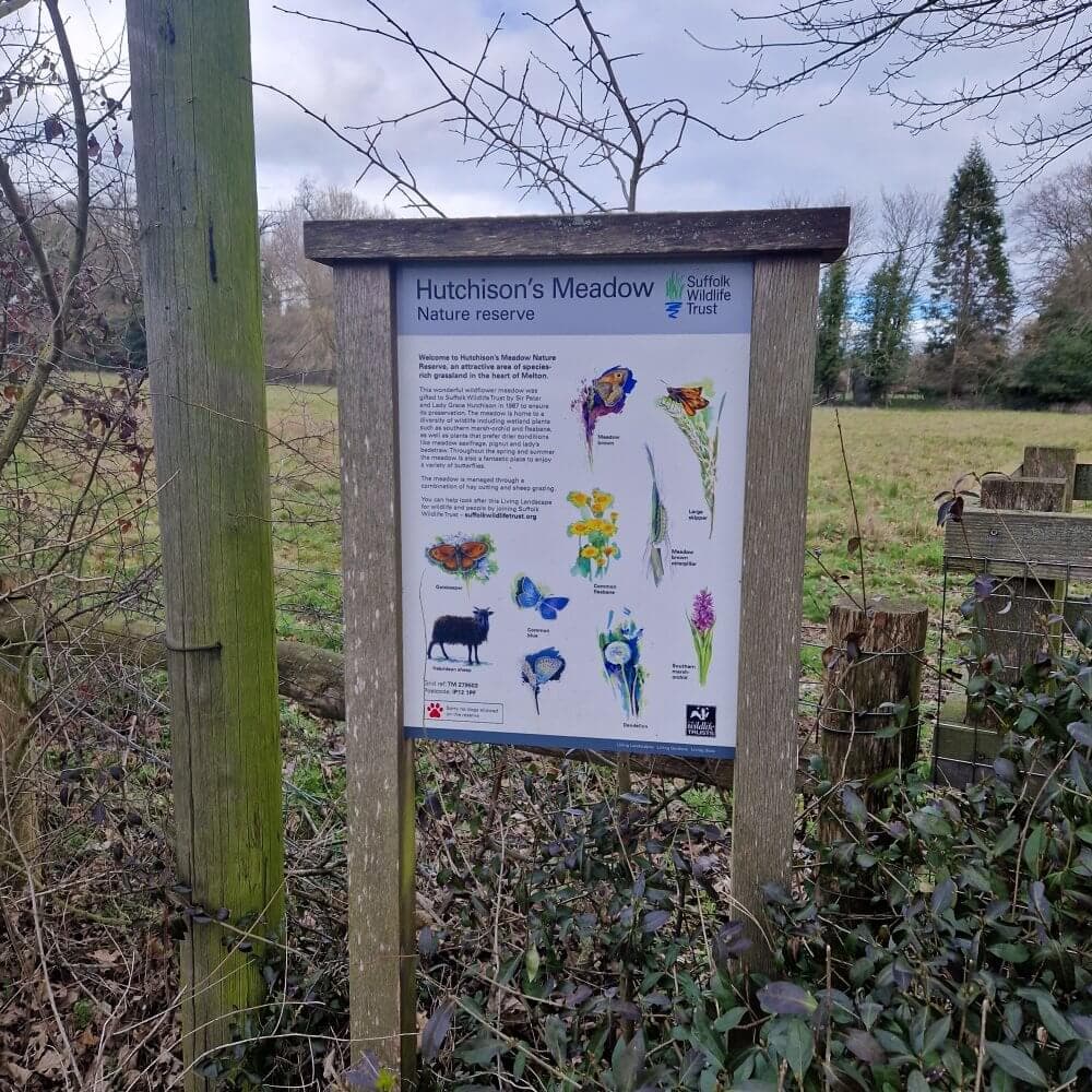 Sign for Hutchison's Meadow Nature Reserve with illustrations of plants and animals, surrounded by a grassy field and trees. - Home Instead