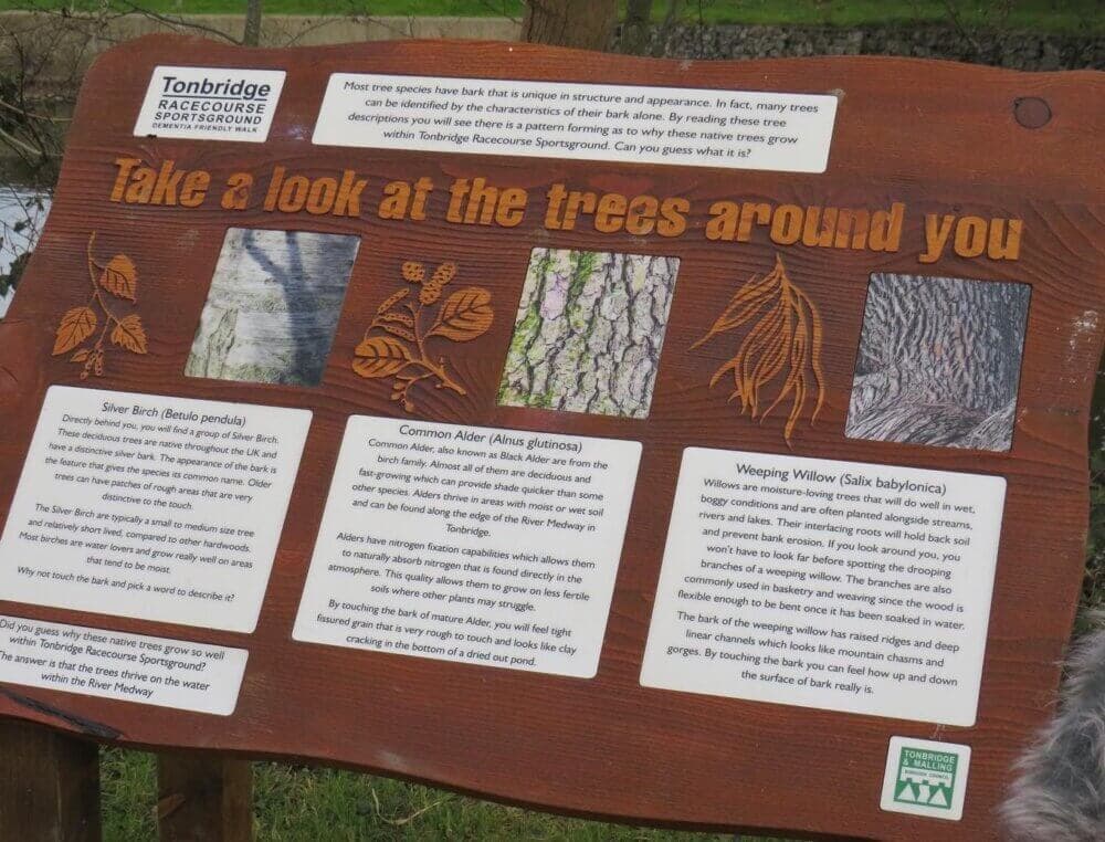 Dementia Trail