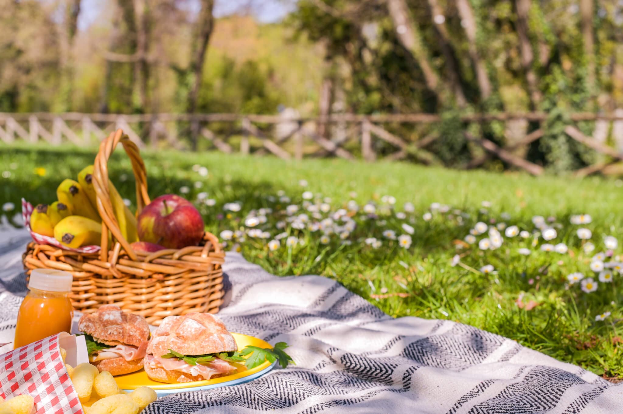 Picnic setup on a blanket with sandwiches, juice, chips, and a basket of fruits in a grassy park with trees in the background. - Home Instead