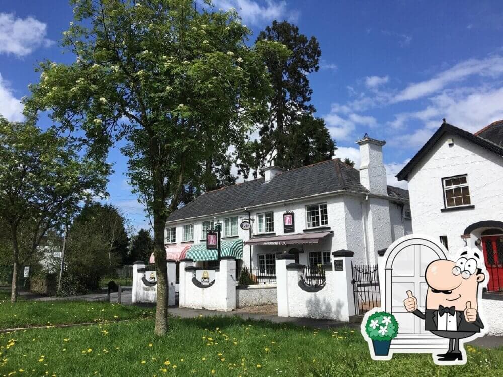 White house with striped awnings, green lawn with dandelions, and cartoon waiter with thumbs up in corner. - Home Instead