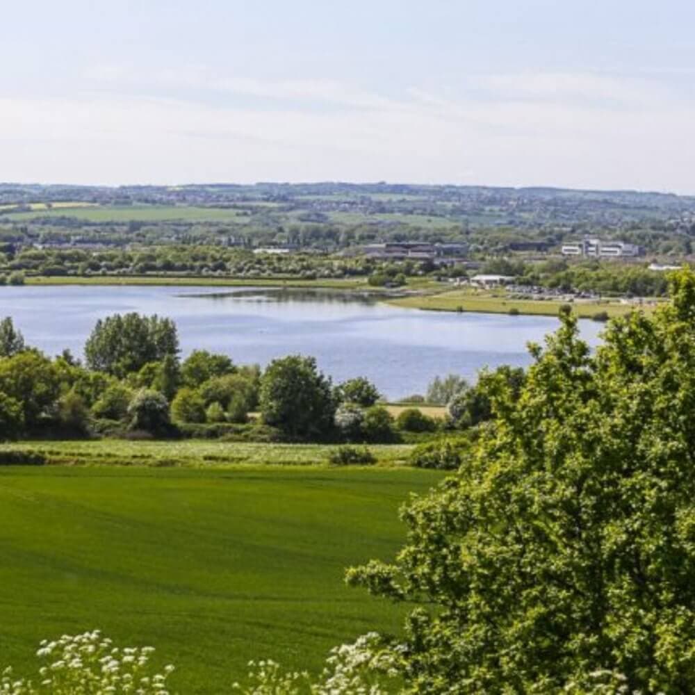 A serene landscape with a lake surrounded by green fields and trees under a clear blue sky. - Home Instead